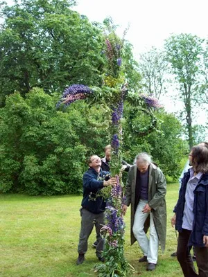 Boende och medarbetare reser midsommarstången i trädgården